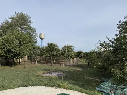 Čonoplja | 4zida.rs