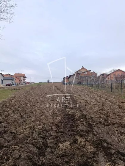 Jaroslava Černog | 4zida.rs