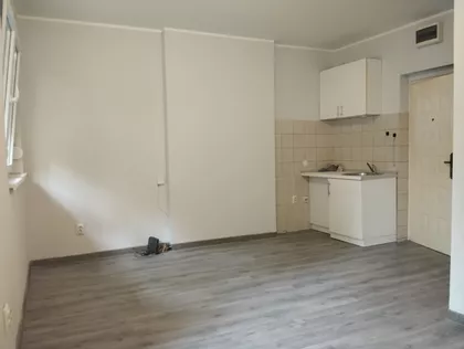 Žarka Zrenjanina | 4zida.rs