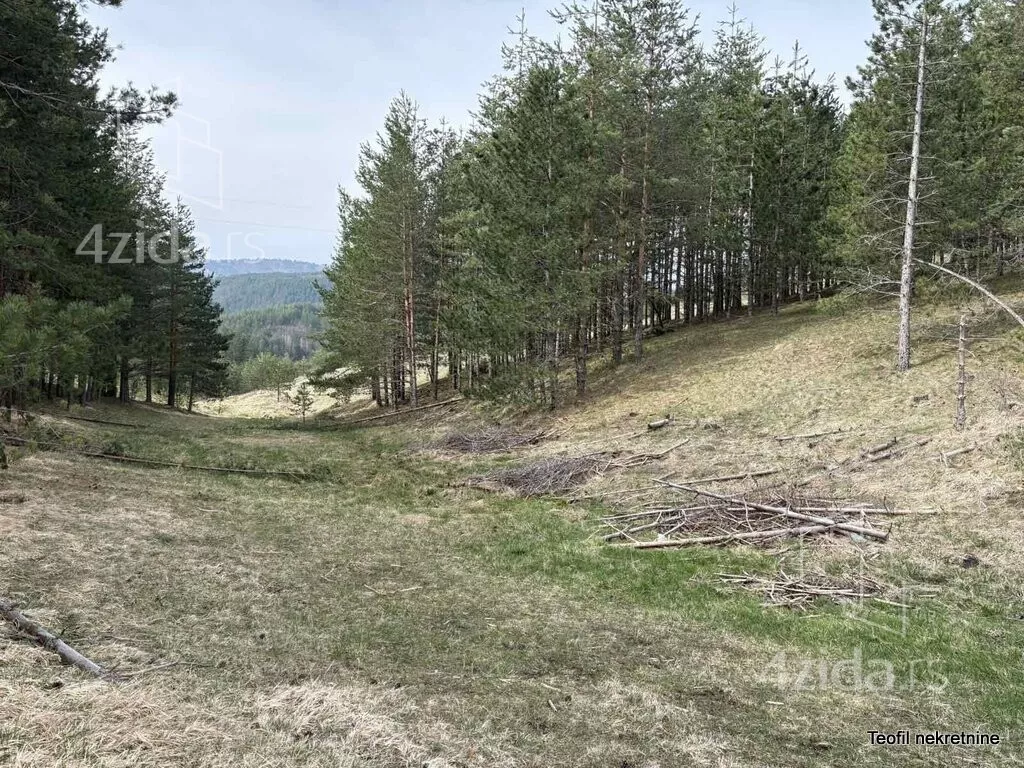 Plac | 4zida