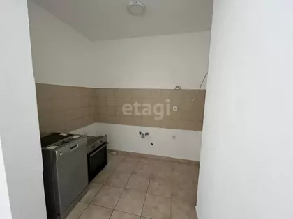 Stepa Stepanović | 4zida.rs