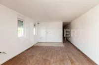 Niš, Gradske lokacije, Pantelej | 4zida.rs | 4zida.rs