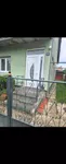 Veternik, Gradske lokacije, Novi Sad | 4zida.rs | 4zida.rs