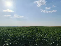 Surčin, Surčin opština, Beograd | 4zida.rs