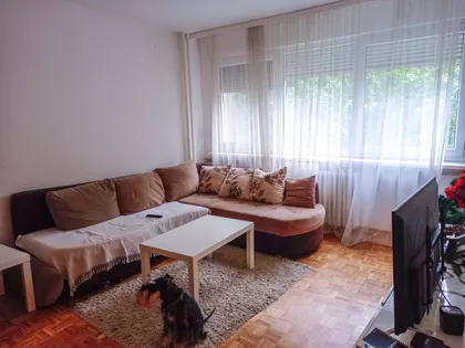 Patrijarha Joanikija | 4zida.rs