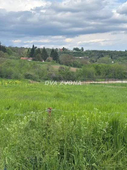 Čortanovci | 4zida.rs