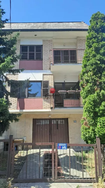 Ratka Mitrovića | 4zida.rs