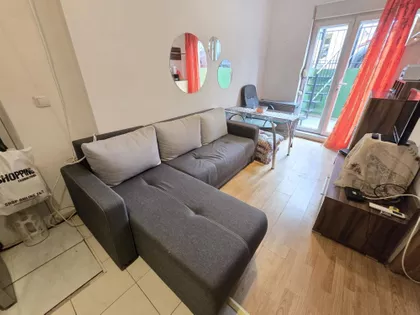 Davida Pajića | 4zida.rs