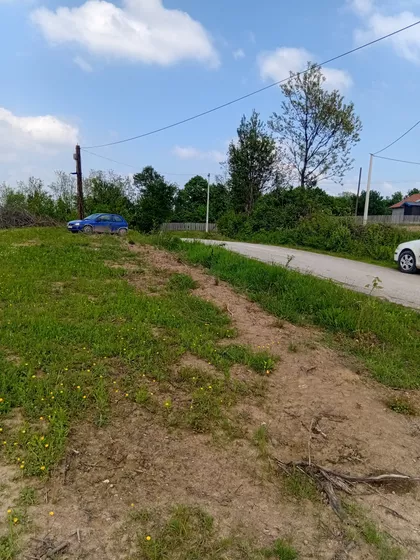 Trbušnica | 4zida.rs