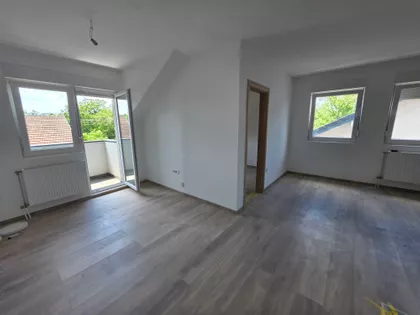 Južni Telep | 4zida.rs