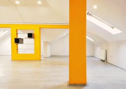 Janka Veselinovića | 4zida.rs