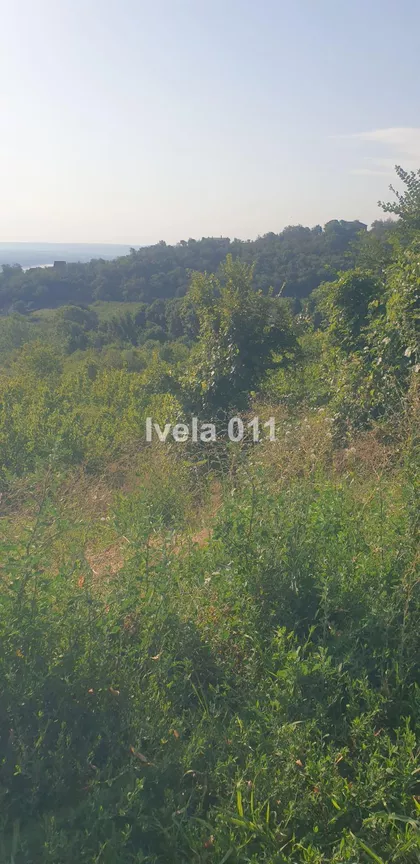 Zaklopača | 4zida.rs