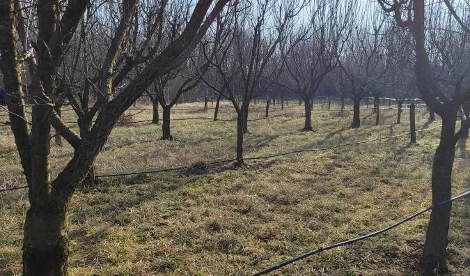 Poljoprivredno zemljište | 4zida