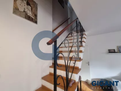 Marijane Gregoran | 4zida.rs