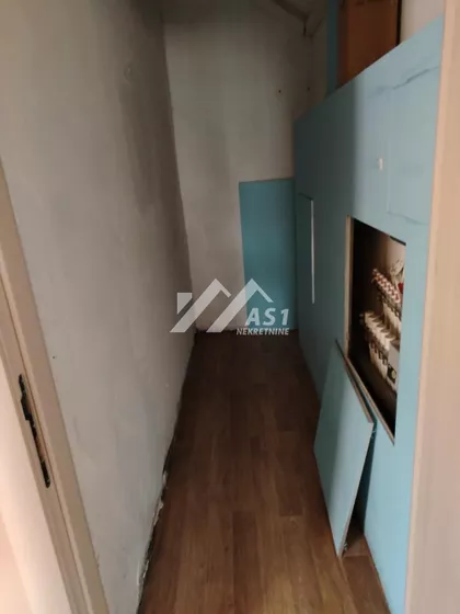 Dr Svetislava Kasapinovića | 4zida.rs