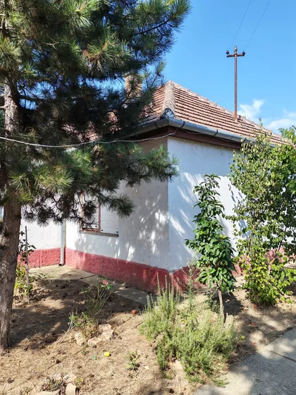 Save Kovačevića | 4zida.rs