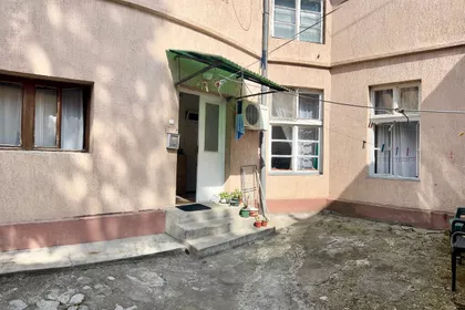 Vase Pelagića | 4zida.rs