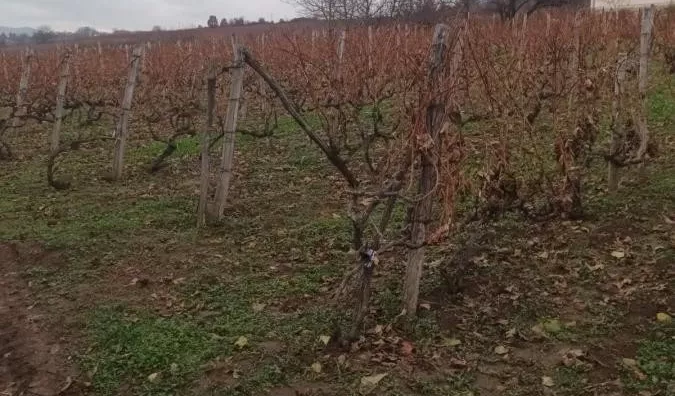 Poljoprivredno zemljište | 4zida