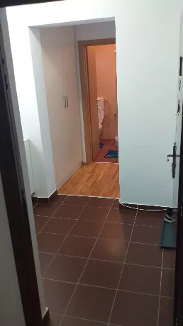 Davorina Jenka 5 | 4zida.rs