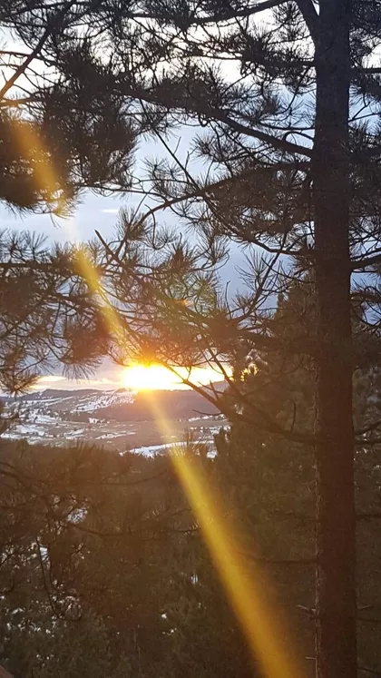 Jedriličarska 21 | 4zida.rs