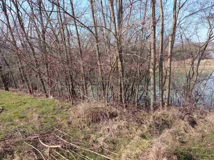 Žunje | 4zida.rs