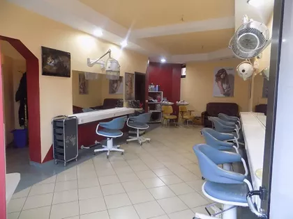 Jagodnjak | 4zida.rs