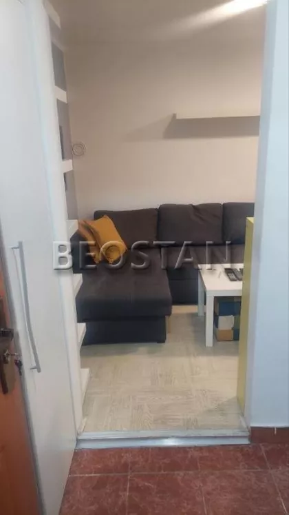 Zvezdarskih jelki | 4zida.rs