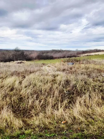 Ibarski put | 4zida.rs