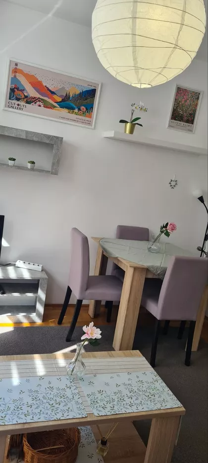 Novi Sad - Centar | 4zida.rs
