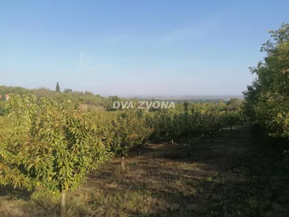 Krčedin | 4zida.rs