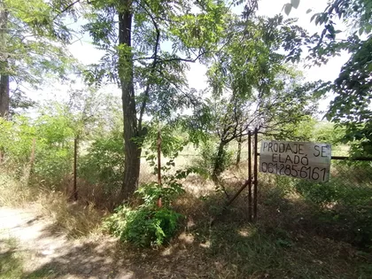 Srpski Šor | 4zida.rs