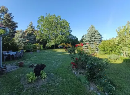Čortanovci | 4zida.rs