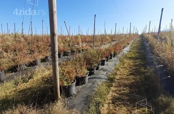 Građevinsko zemljište | 4zida