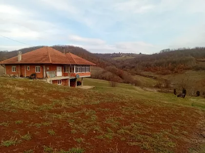 Vladike Nikolaja Velimirovića | 4zida.rs