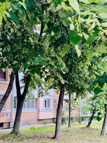 Sremskih boraca | 4zida.rs