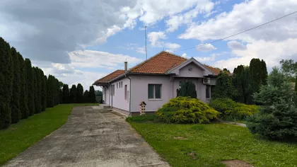 Glušci | 4zida.rs