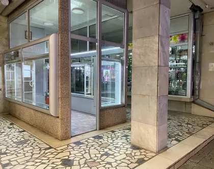 Vidovdanska | 4zida.rs