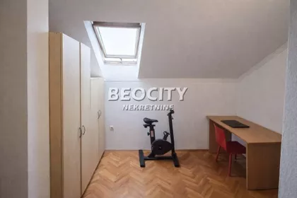 Pap Pavla | 4zida.rs