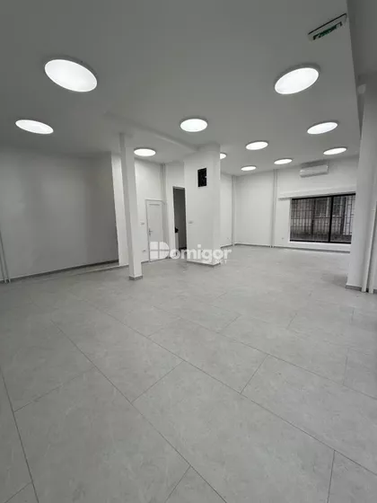 Stepa Stepanović | 4zida.rs