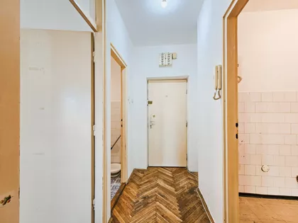 Bogdana Tirnanića | 4zida.rs