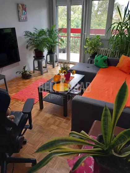 Gandijeva | 4zida.rs