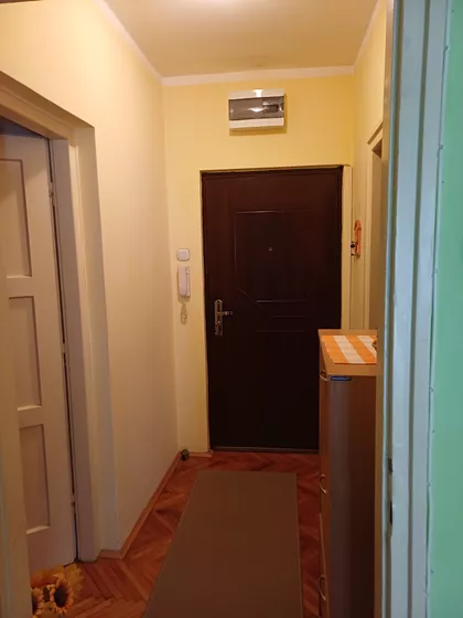 Homoljska | 4zida.rs