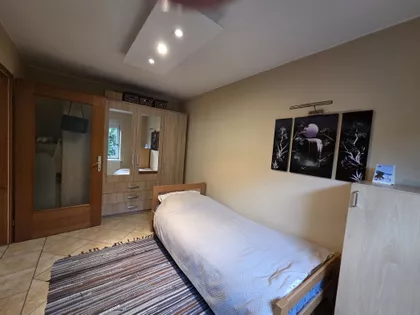 Srpski Šor | 4zida.rs