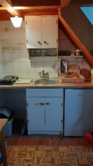 Darvinova pošta | 4zida.rs