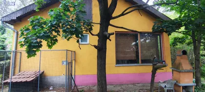 Srpski Šor | 4zida.rs