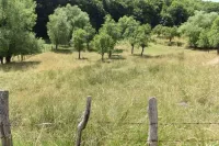 Plac | 4zida