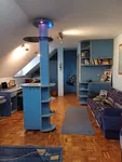 Petrovaradin, Gradske lokacije, Novi Sad | 4zida.rs | 4zida.rs