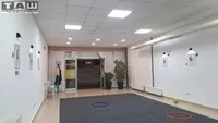 Lokal | 4zida
