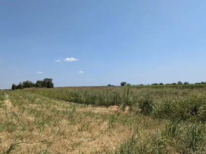 Desanke Maksimović | 4zida.rs