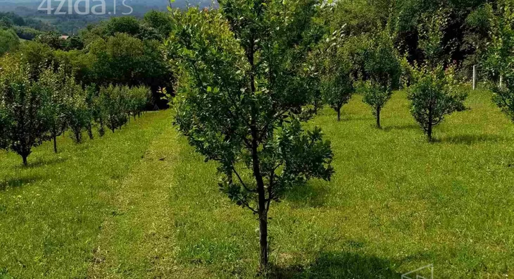 Poljoprivredno zemljište | 4zida